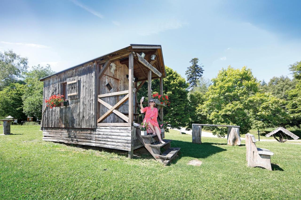 Hotel Gruener Wald Φρόιντενσταντ Εξωτερικό φωτογραφία