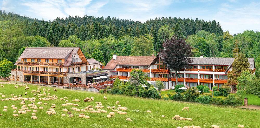 Hotel Gruener Wald Φρόιντενσταντ Εξωτερικό φωτογραφία