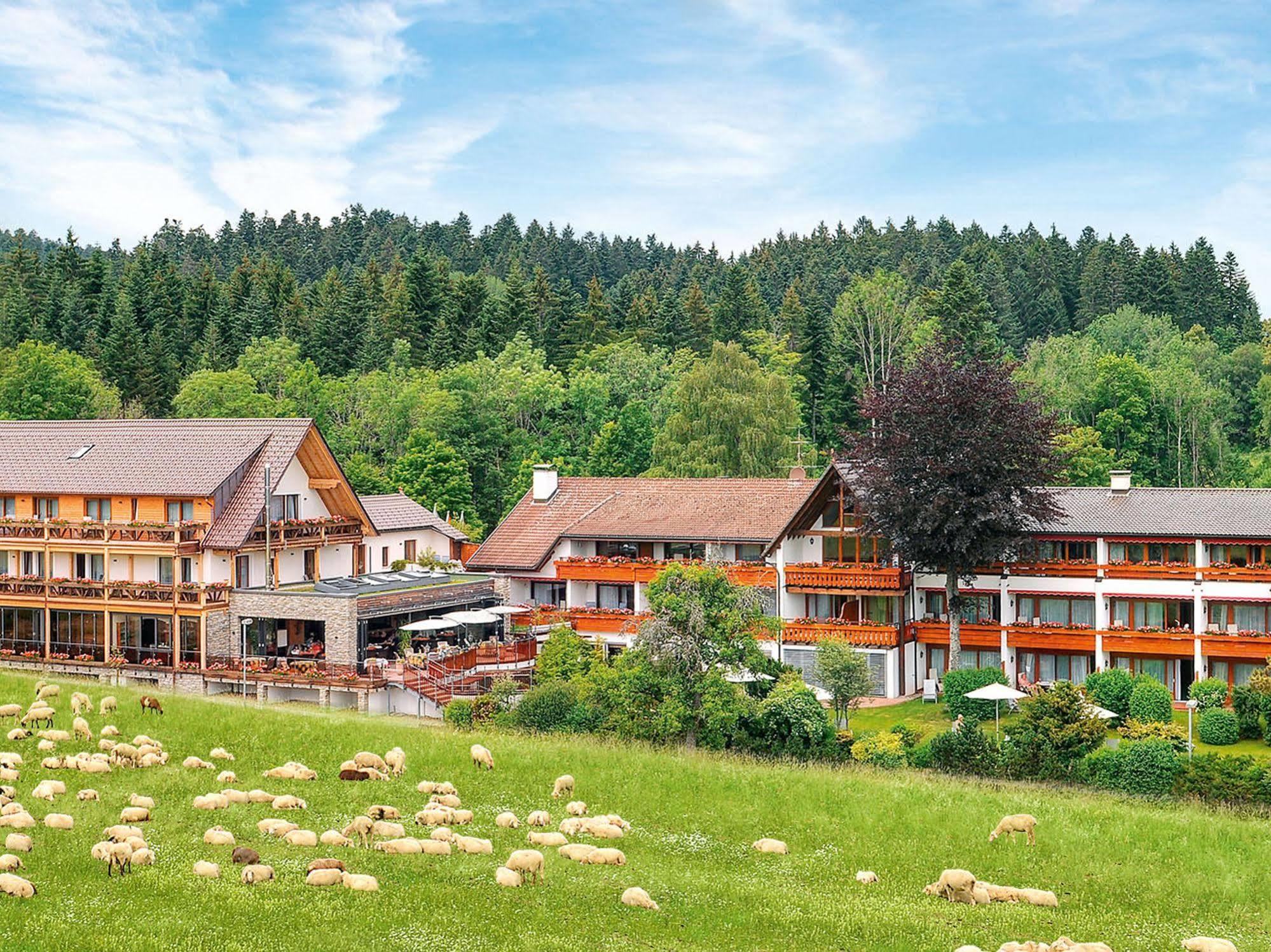Hotel Gruener Wald Φρόιντενσταντ Εξωτερικό φωτογραφία